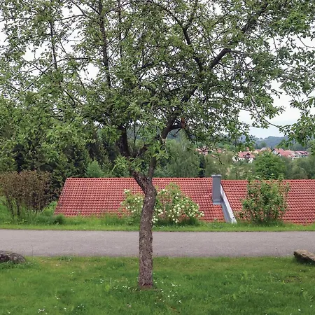 Two-bedroom In * Falkenstein (Upper Palatinate)